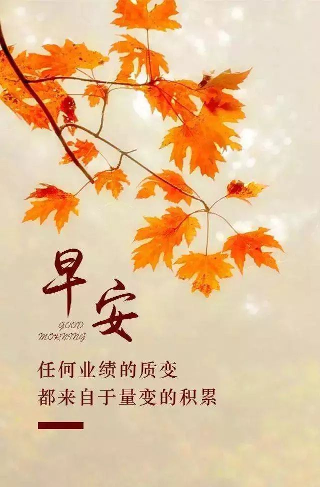 高二孩子天天玩手机打游戏_高二玩打手机游戏孩子怎么教育_高二孩子玩手机上瘾对策
