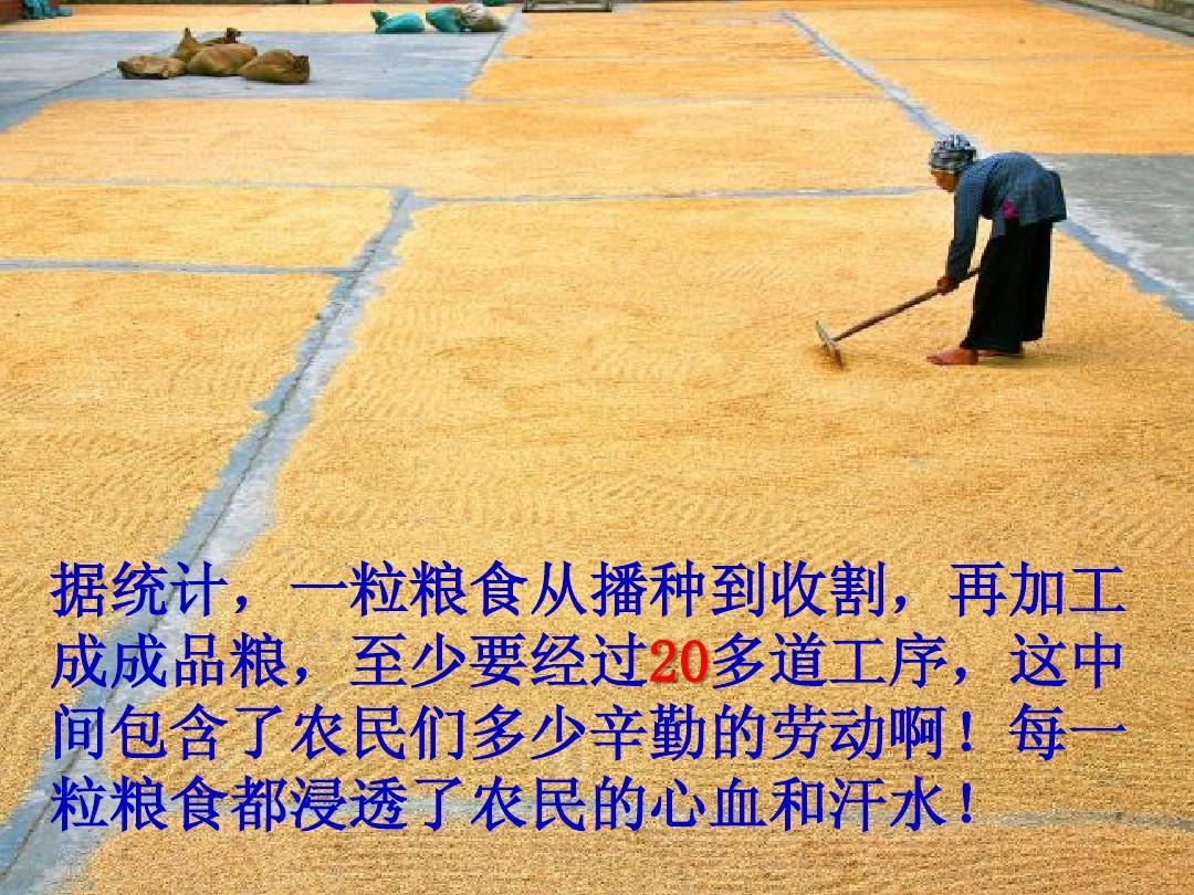 粮食烘干塔_粮食储存仓_粮食日