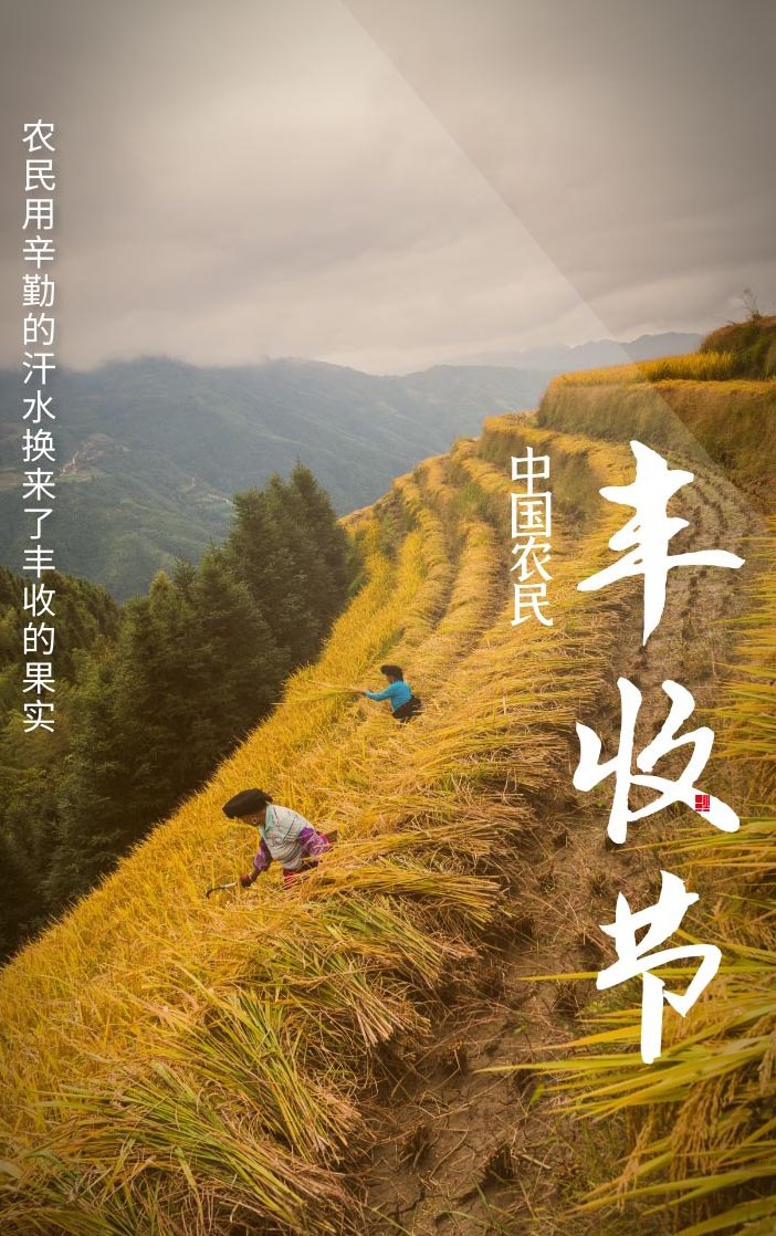 粮食烘干塔_粮食日_粮食储存仓
