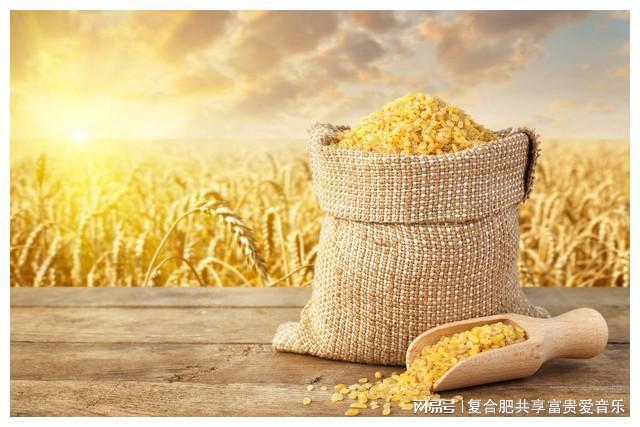 粮食日_粮食储存仓_粮食烘干塔