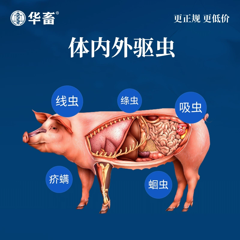 低配吃鸡游戏系列手机_低配吃鸡游戏系列手机_低配吃鸡游戏系列手机