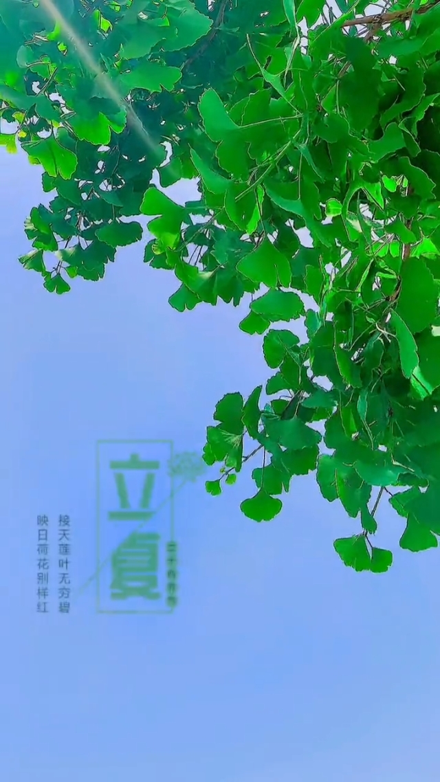 立夏夏至_立夏夏至_立夏夏至