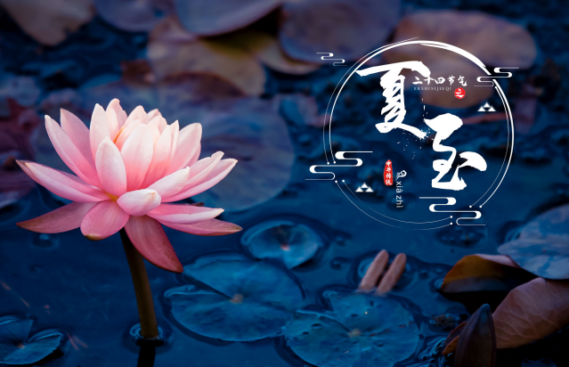 立夏夏至_立夏夏至_立夏夏至