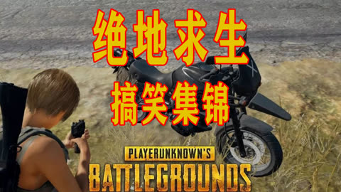 能吃鸡的游戏_吃鸡用的什么手机游戏软件_方便吃鸡的软件