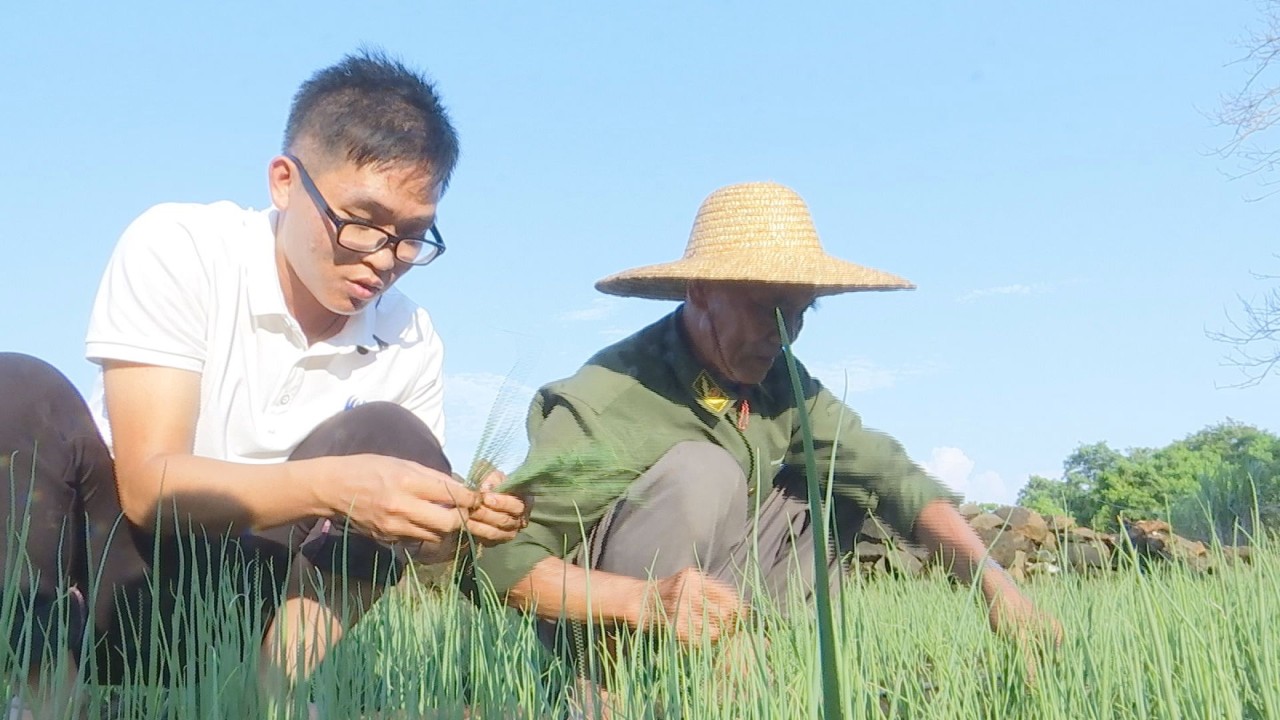 劳动节诗句古诗大全_劳动节的诗词名句_劳动节的诗句