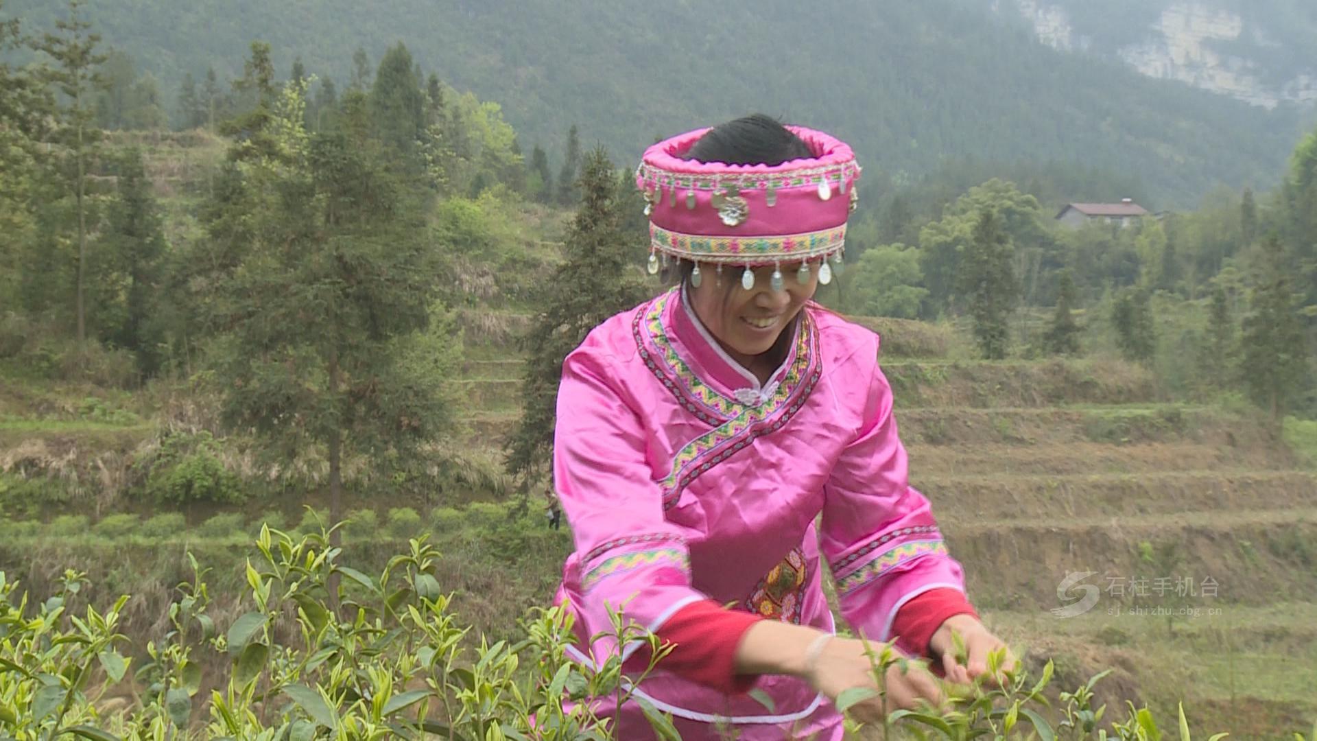 茶太_茶太苦了怎么办_茶太良品