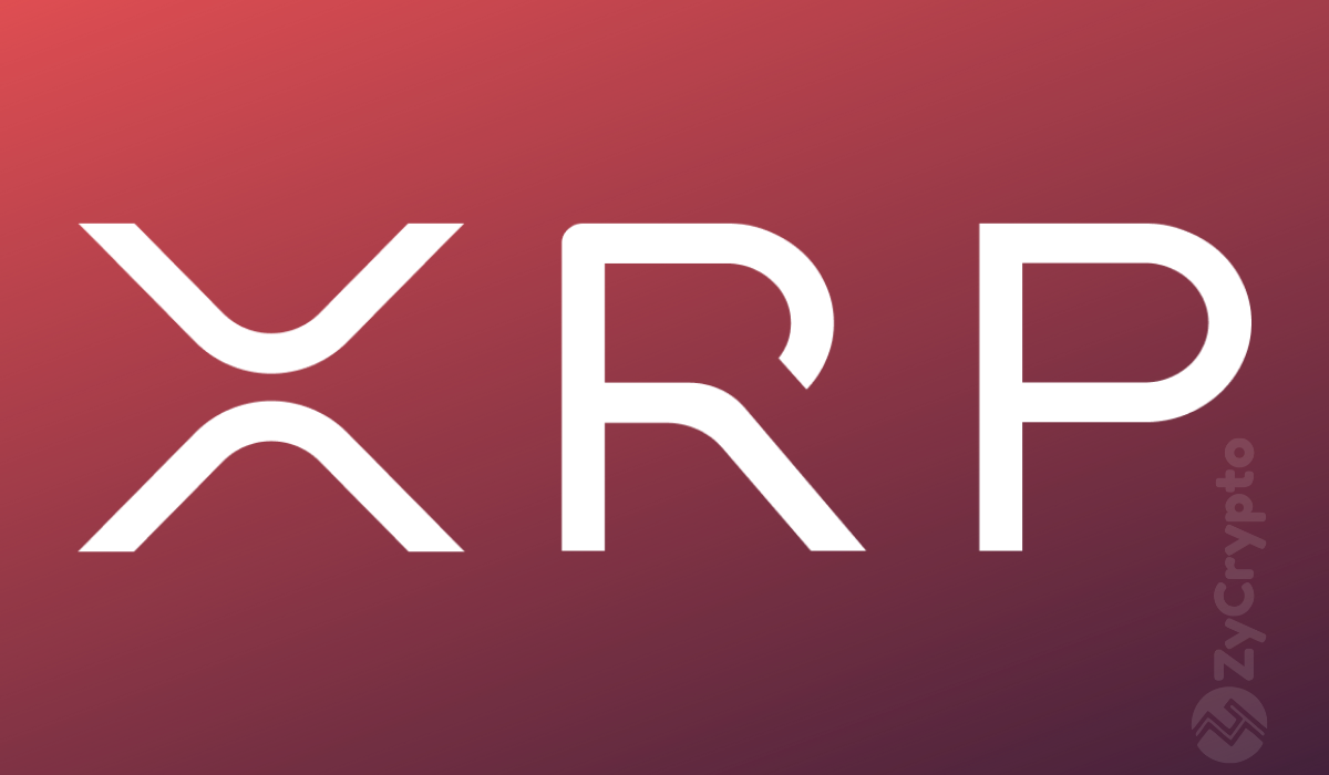 xrp币_xrp币_xrp币