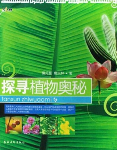 阿婆克列_阿婆克烈是什么_阿婆克烈