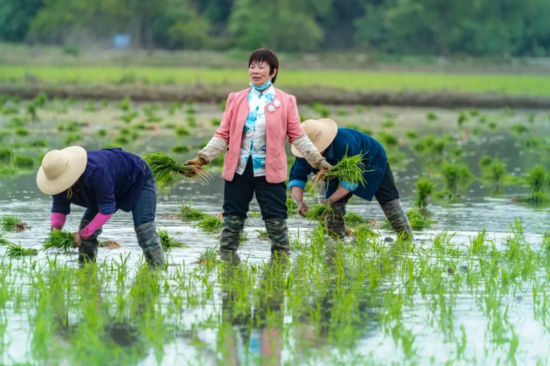 涩谷保卫战_涩谷保卫战讲的什么_搜索保卫战