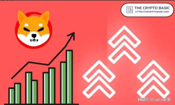 shib价格今日行情_最新国际金价实时行情今日价格_全国玉米行情今日价格