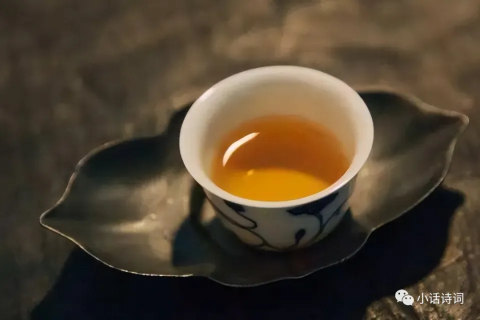 茶渡泰虎真人_茶渡泰虎有多强_茶渡泰虎