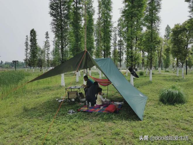 露营好玩的游戏_露营旅行的小游戏_10人左右露营游戏手机