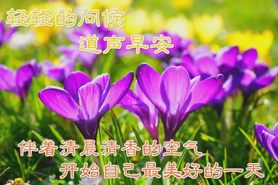 佐藤亚美菜_佐藤亚美菜泳装_佐藤美和