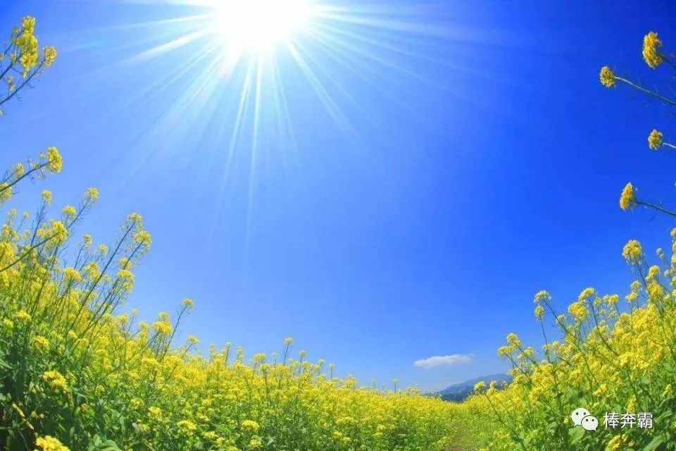 润人什么意思_润四月_百互润和百芙润