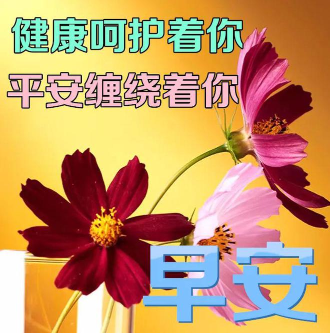 浅仓透_浅仓透_浅仓透