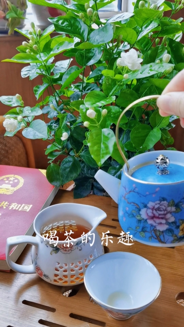 理茶德_理茶的姑妈_茶理理