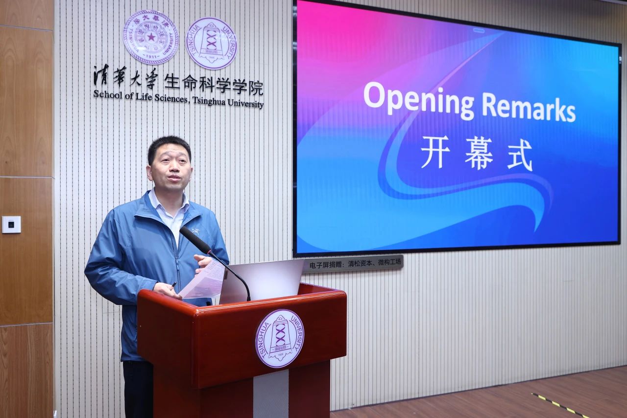 清楚系_清楚系双子_清楚系是指什么