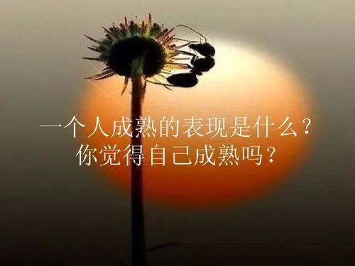 傲沉是什么意思_傲沉是什么性格_傲沉