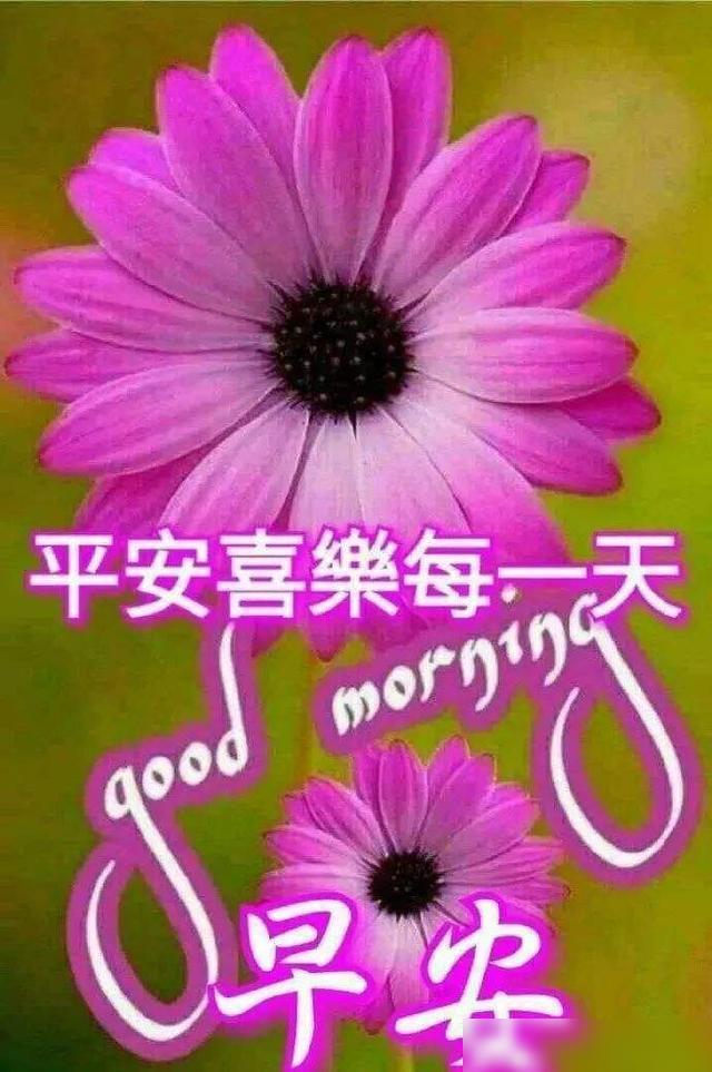 三伏的中伏_闰中伏_中伏