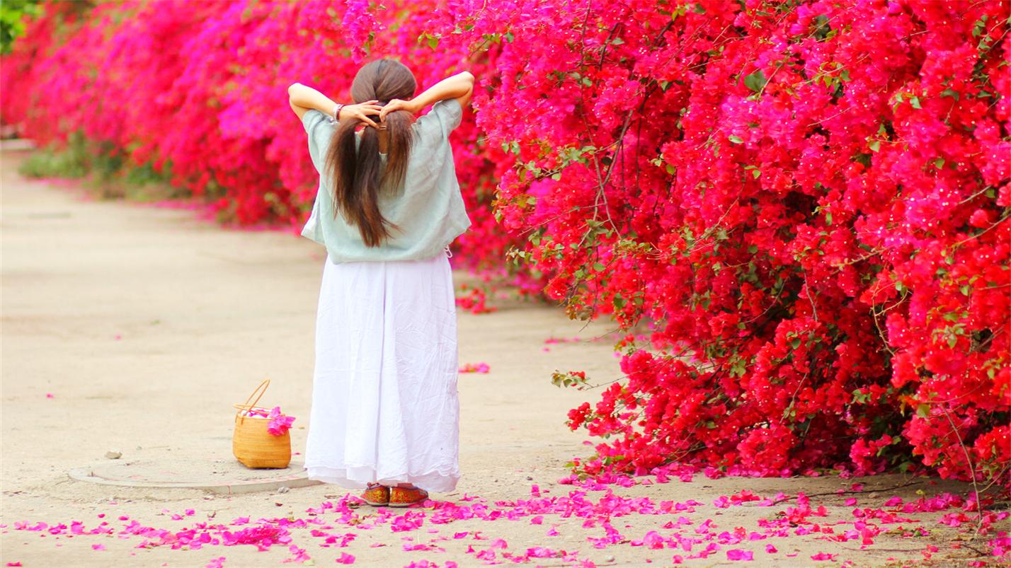 凉花攻略_凉花_凉花怎么攻略