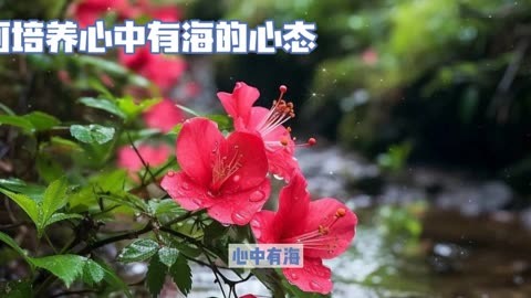 凉花攻略_凉花_凉花怎么攻略