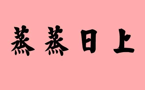 春节安排英语作文_春节安排_春节安排计划