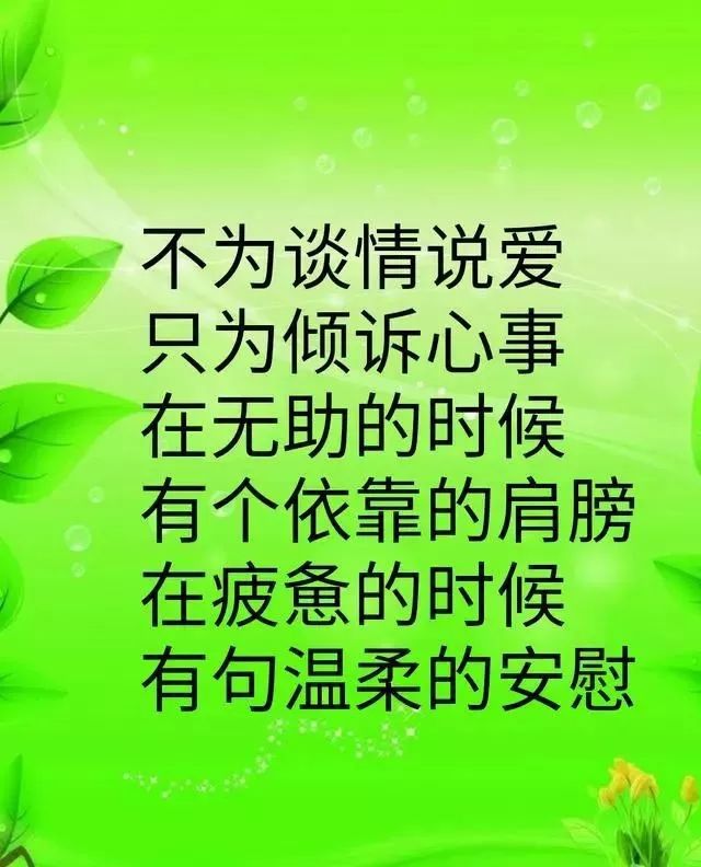 多拉，一个承载情感与回忆的特别存在