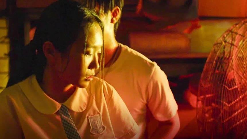 阿尔法狼伴归途在线观看国语_阿尔法狼伴归途在线观看免费_阿尔法狼伴归途在线高清免费观看