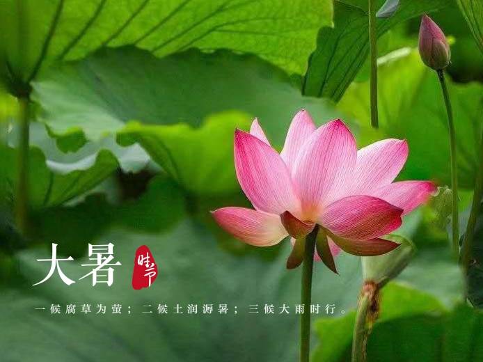 节气热度_一年中最热的节气是哪个_热的节气