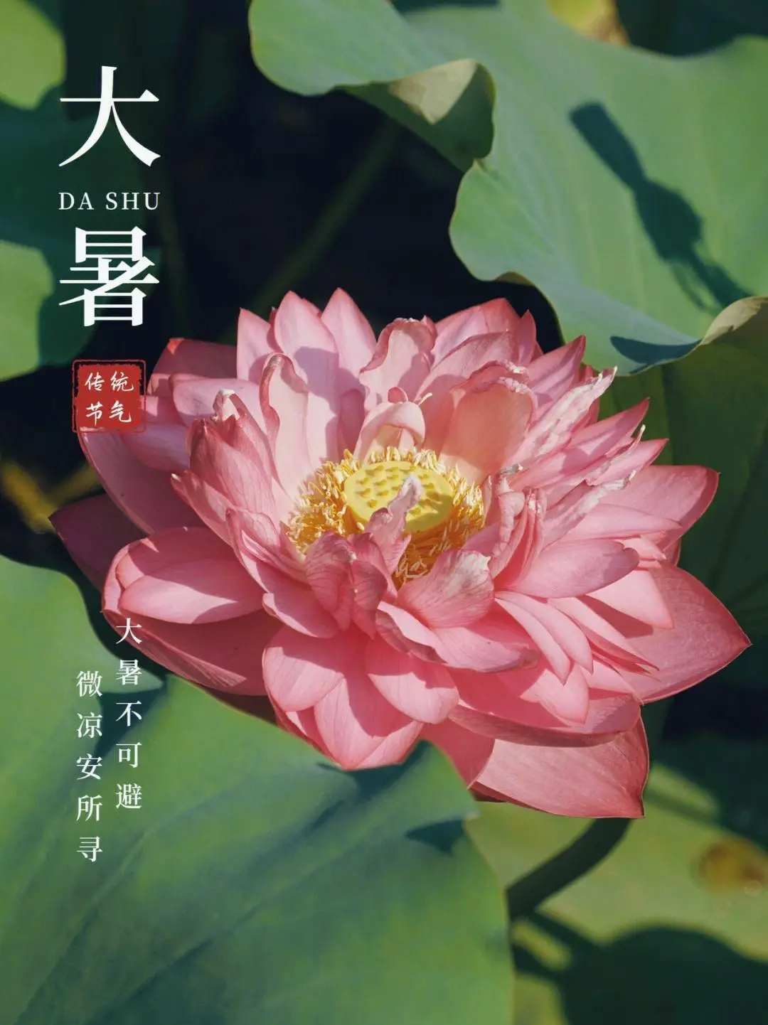 热的节气_节气热度_一年中最热的节气是哪个
