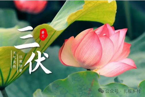 一年中最热的节气是哪个_热的节气_节气热度