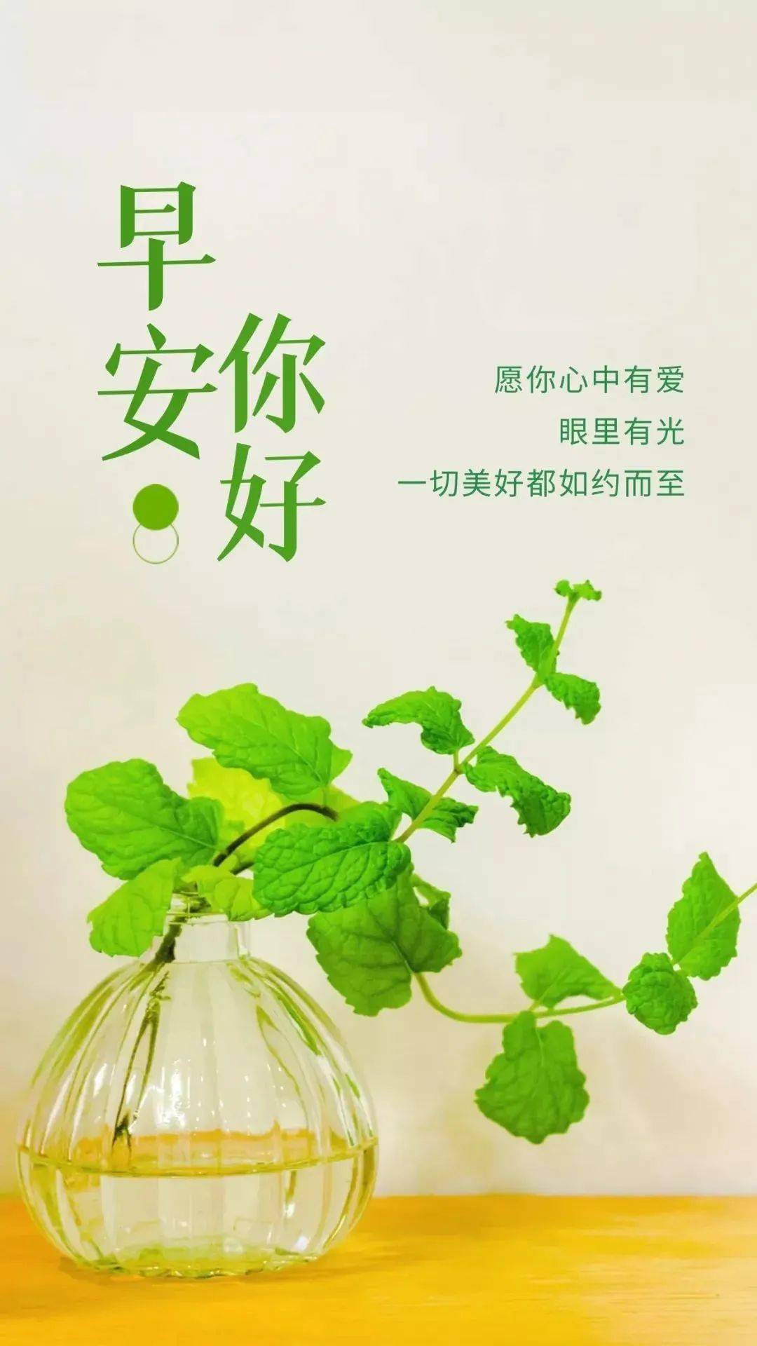 小子好不好_《好小子们》_好小子们