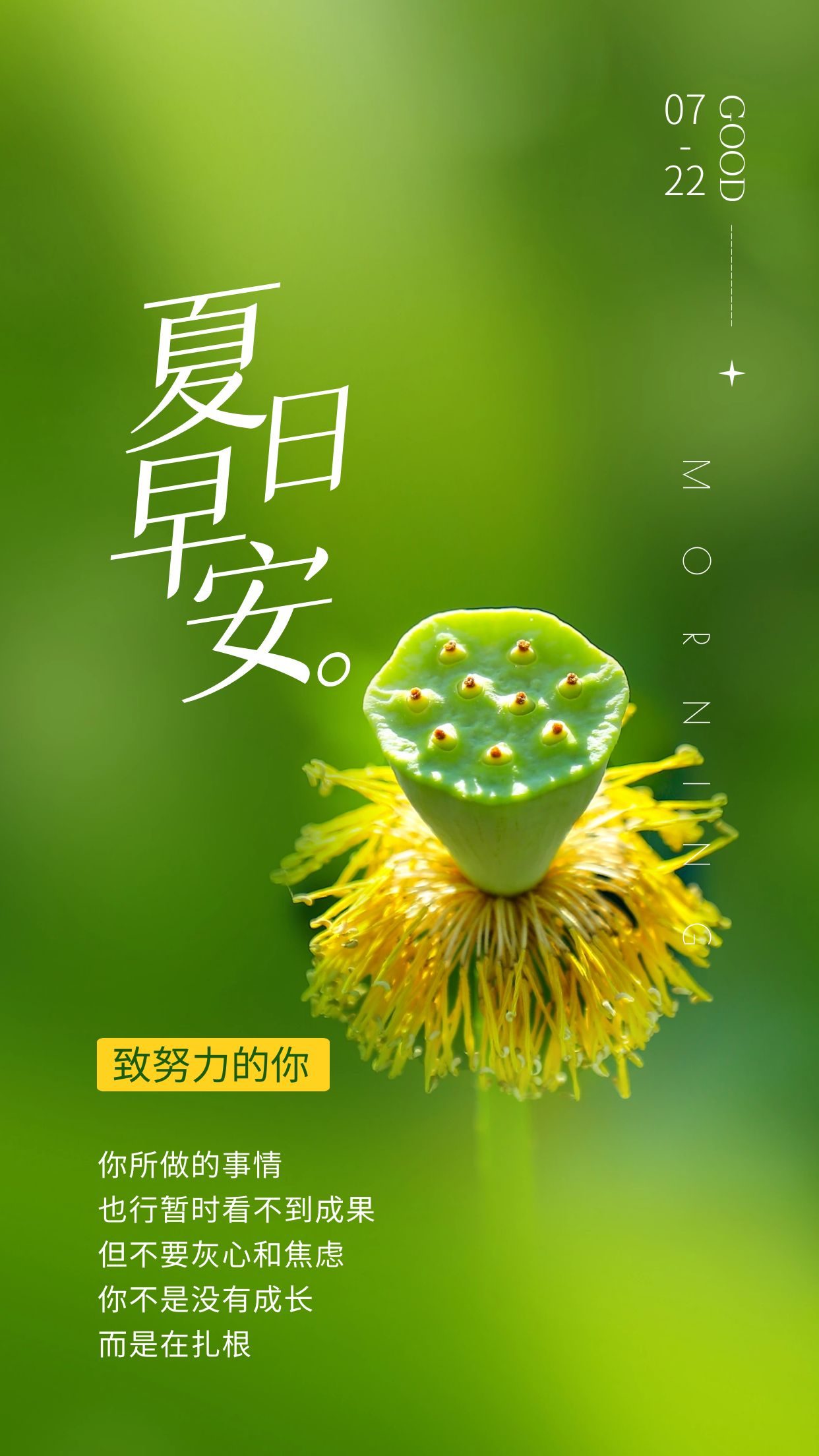 好小子们_小子好不好_《好小子们》