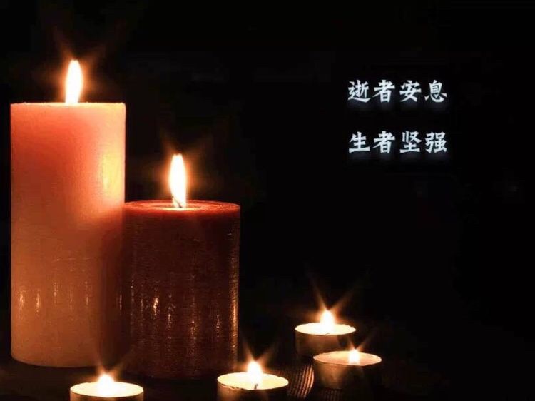 蔷薇龙_蔷薇龙卡组构建_蔷薇龙是谁的