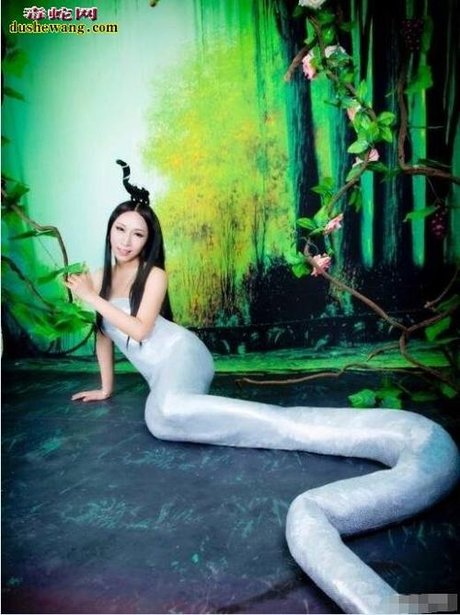 蛇女传说经典好文_东北传说蛇女_蛇女传说
