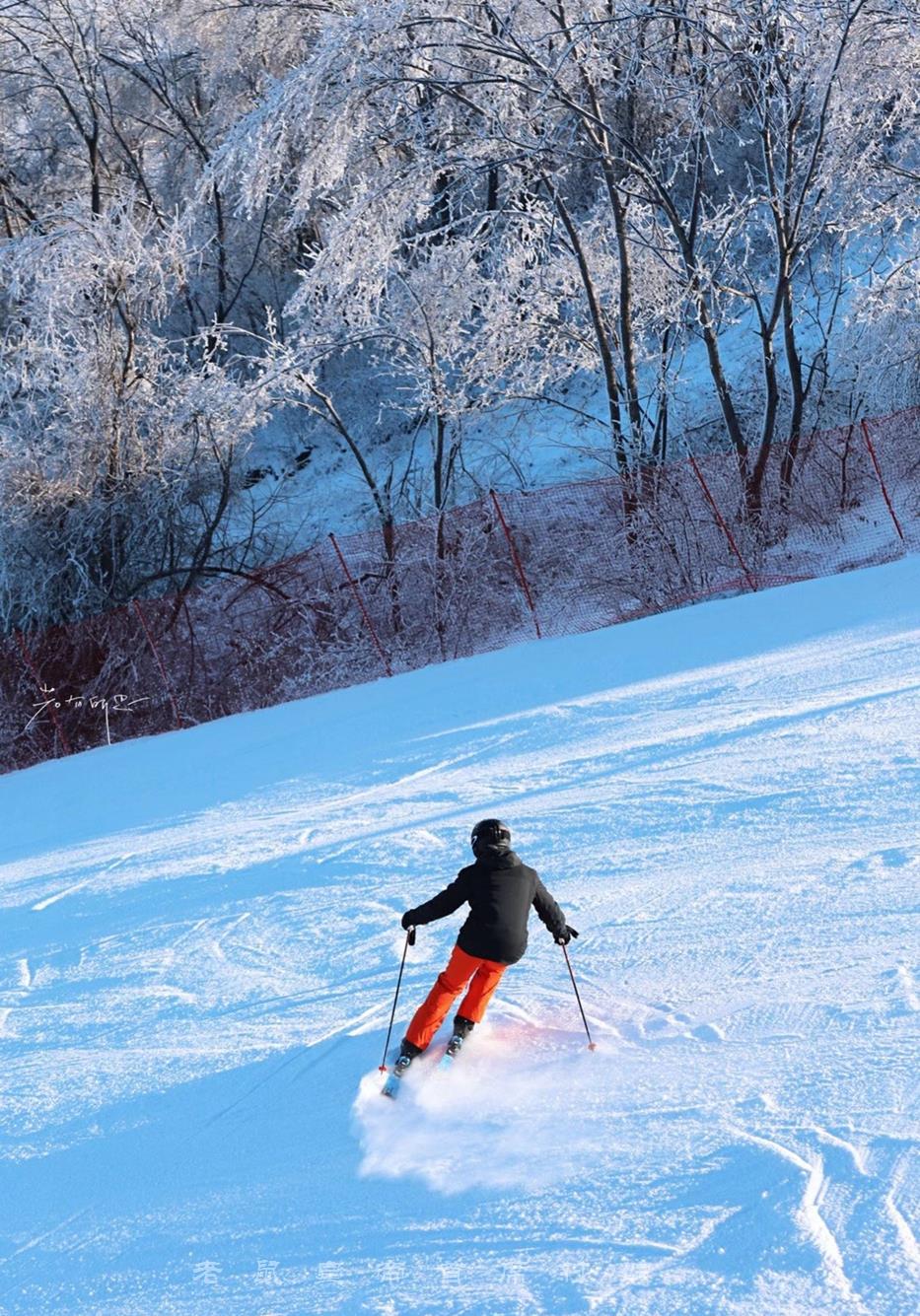 单板滑雪模拟器_滑雪单板手机游戏推荐_单板滑雪 手机游戏