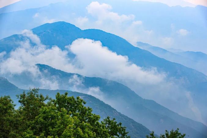 正版遨游中国下载_遨游中国真实版下载_遨游中国手机版真实游戏