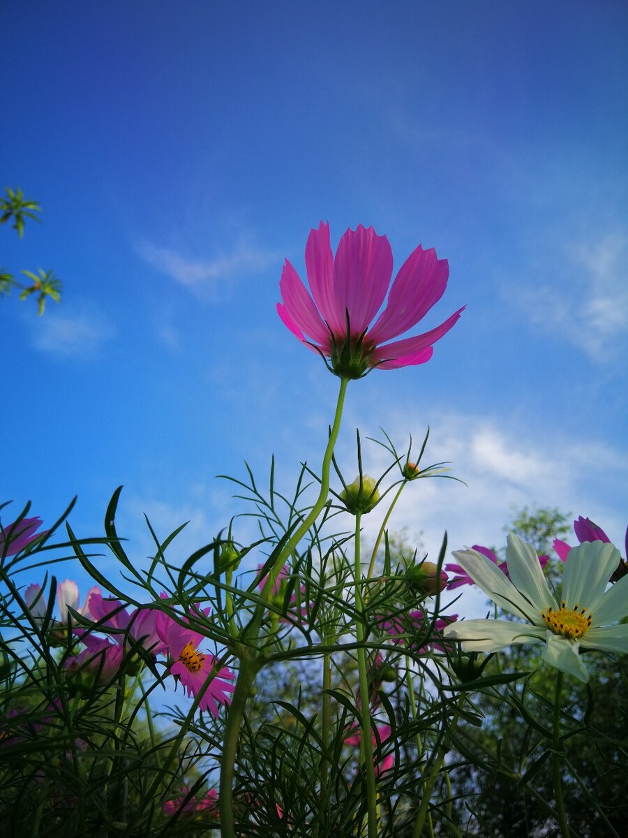 风袖_袖风防水这个牌好不好_袖风染雨