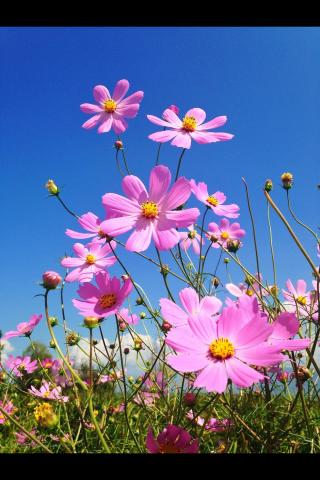 袖风防水这个牌好不好_袖风染雨_风袖
