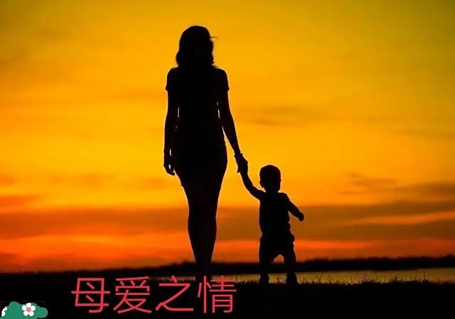 3月4日是什么日子?-3 月 4 日，我心中的小确幸，与她相识、为她庆生的特别日