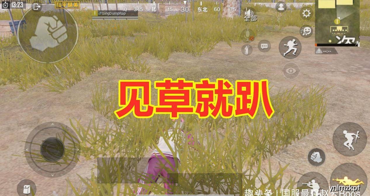 好玩的吃鸡类游戏手游_吃鸡好玩的游戏推荐手机_好玩儿的吃鸡类游戏
