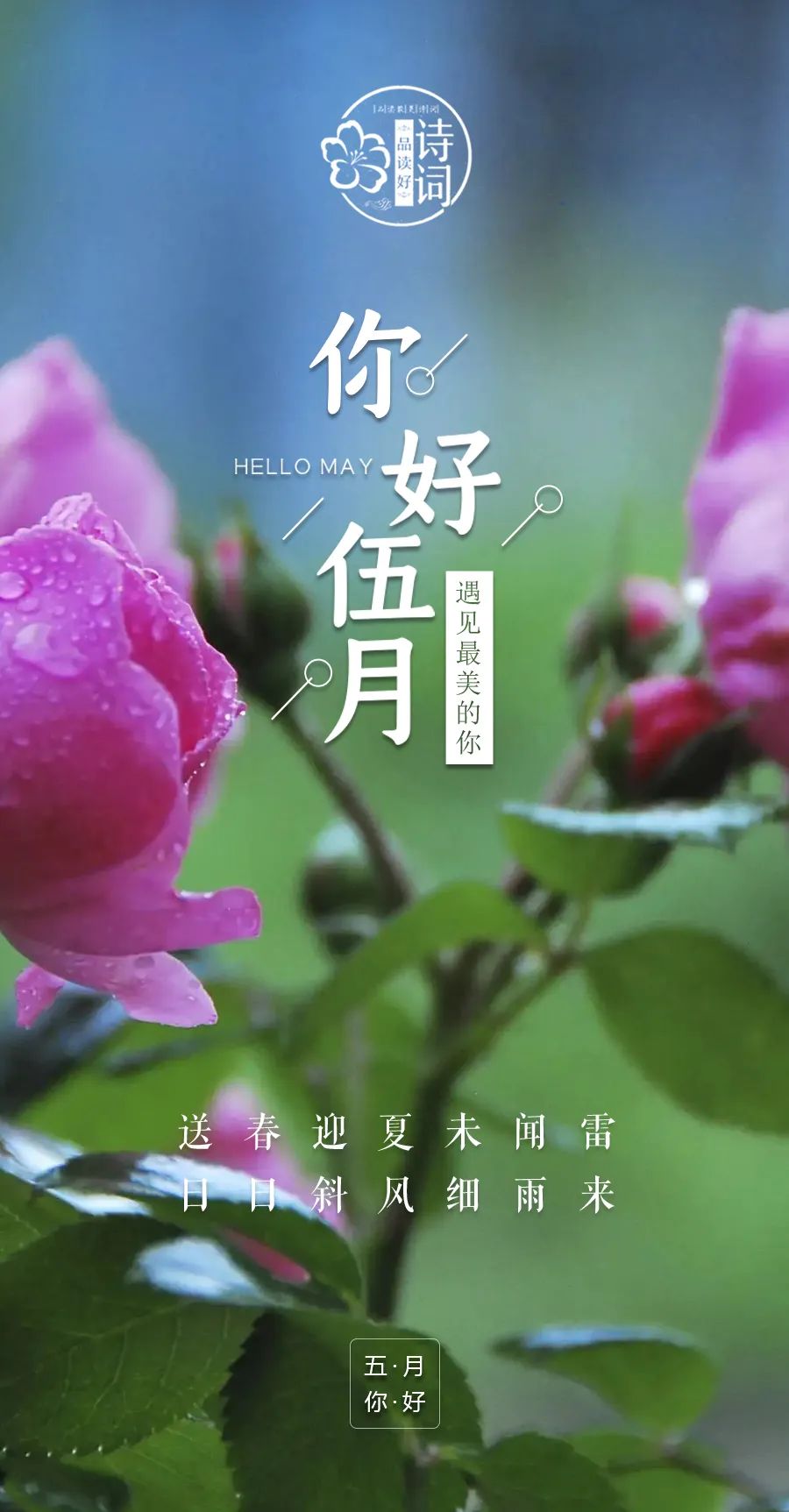 枯萎世界与终结之花_永不枯萎的世界与终结之花_枯萎的花终会找到他的归属