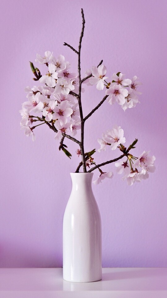 打手机游戏对孩子的影响_不打游戏 手机_打手机游戏手出汗怎么解决