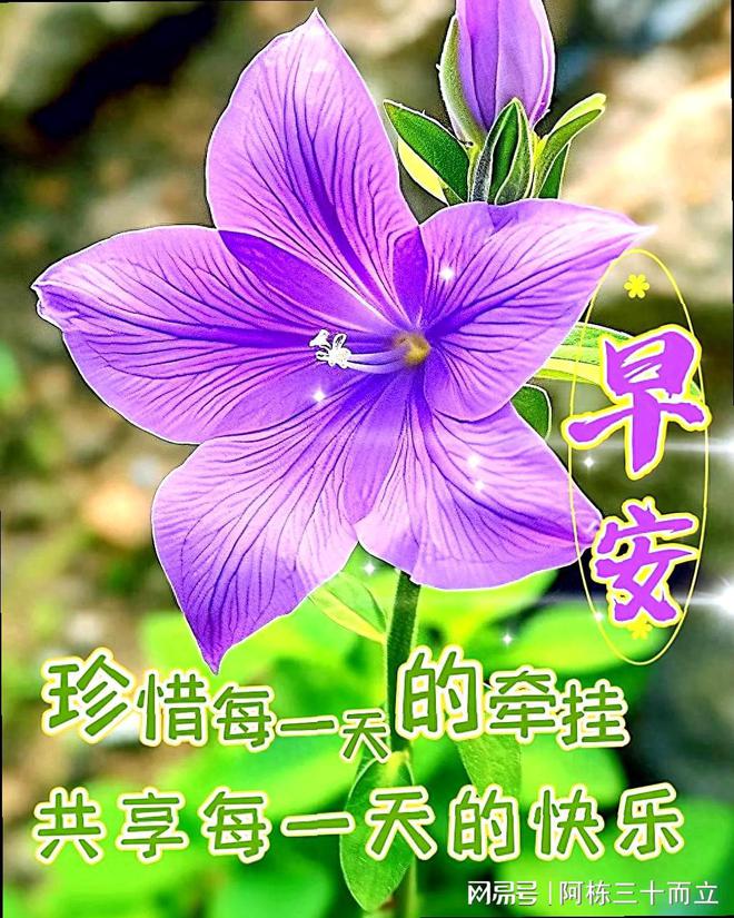 打手机游戏手出汗怎么解决_不打游戏 手机_打手机游戏对孩子的影响