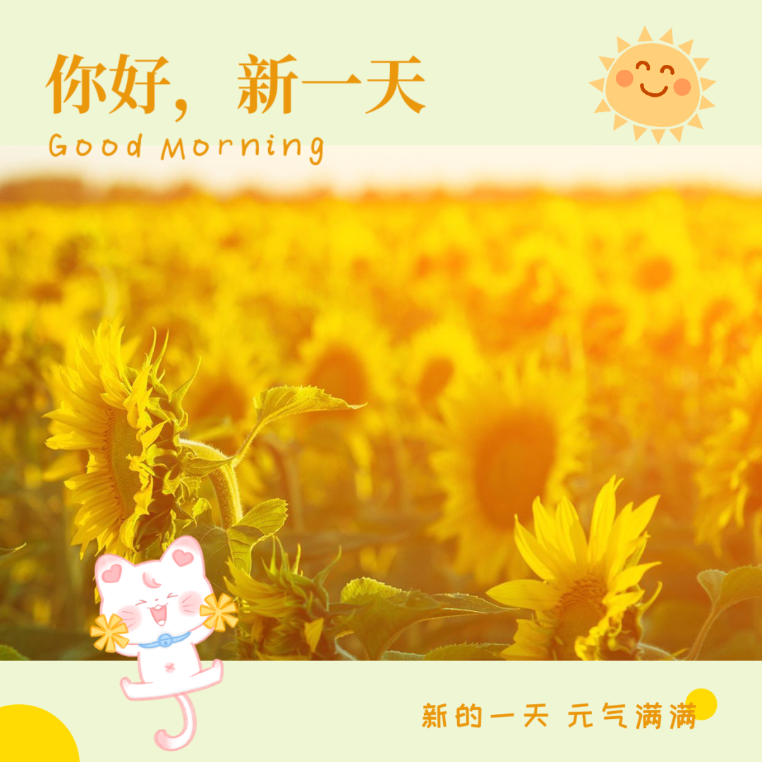 醍醐虎汰朗(日语)_醍醐虎汰朗_醍醐虎汰朗
