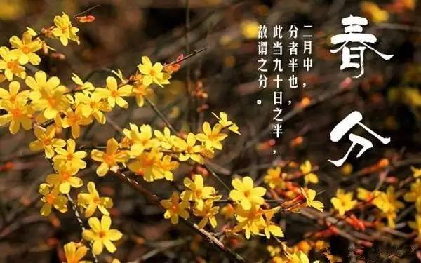 节气按阳历算吗_农历按节气怎么划分_二十四节气是按农历还是阳历算的