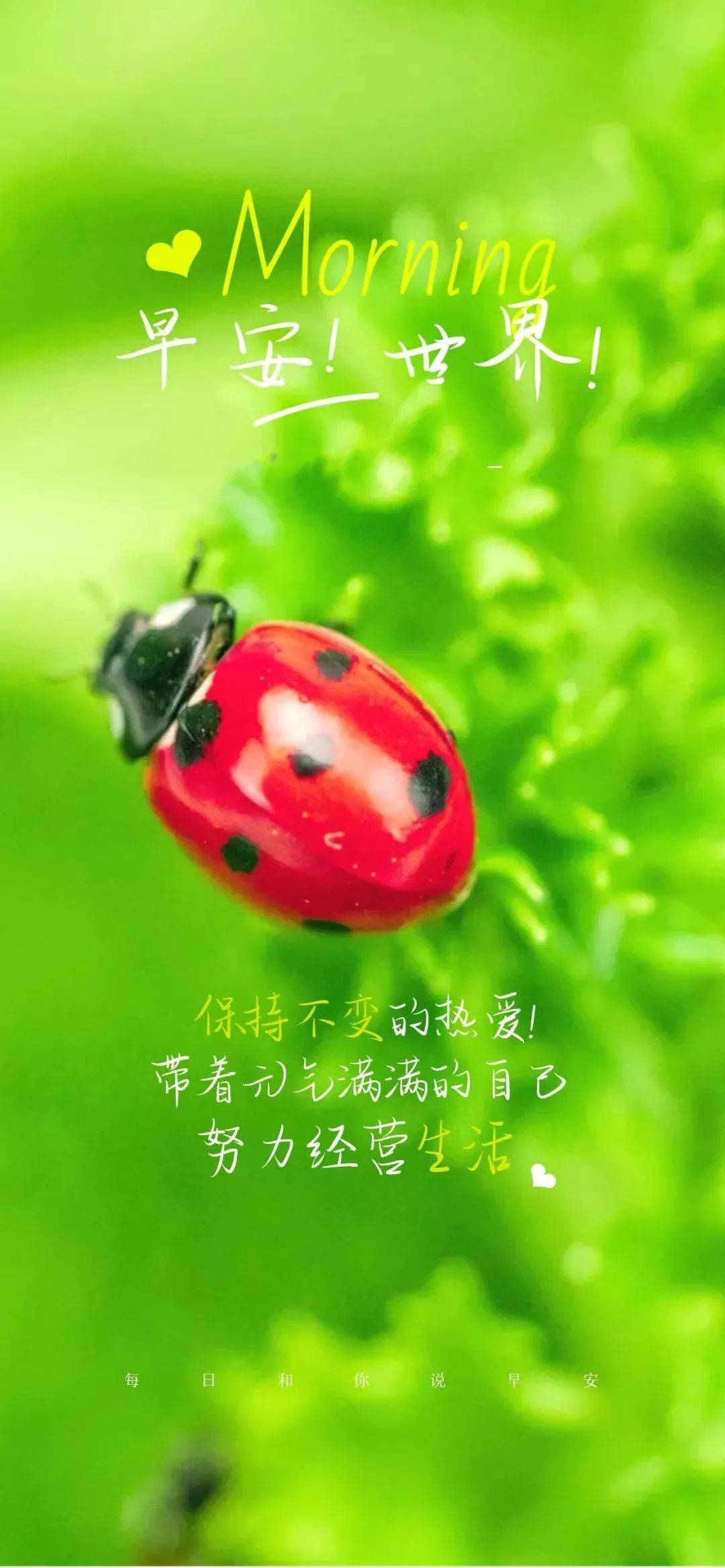 日月日子_月日是什么日子_2月15日是什么日子