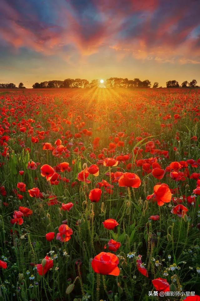 手工棒魔法制作方法_魔法棒手工制作_手工棒魔法制作教程