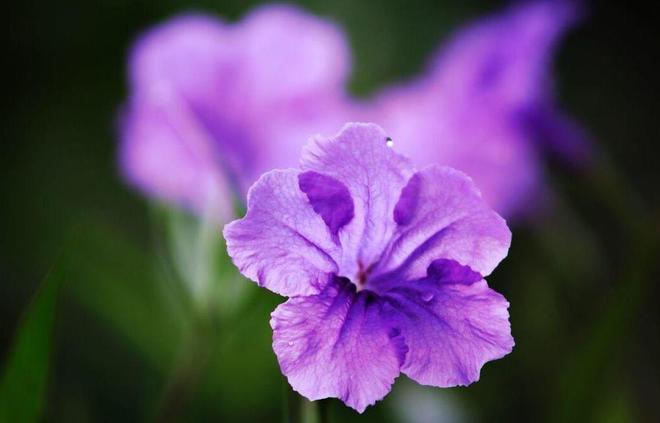 反派死于话多歌曲歌词_反派死于话多_《反派死于话多》