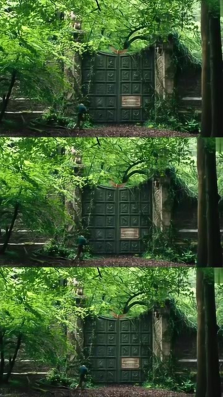 多力特的奇幻冒险国语版_特力多的奇幻冒险国语_奇幻力量